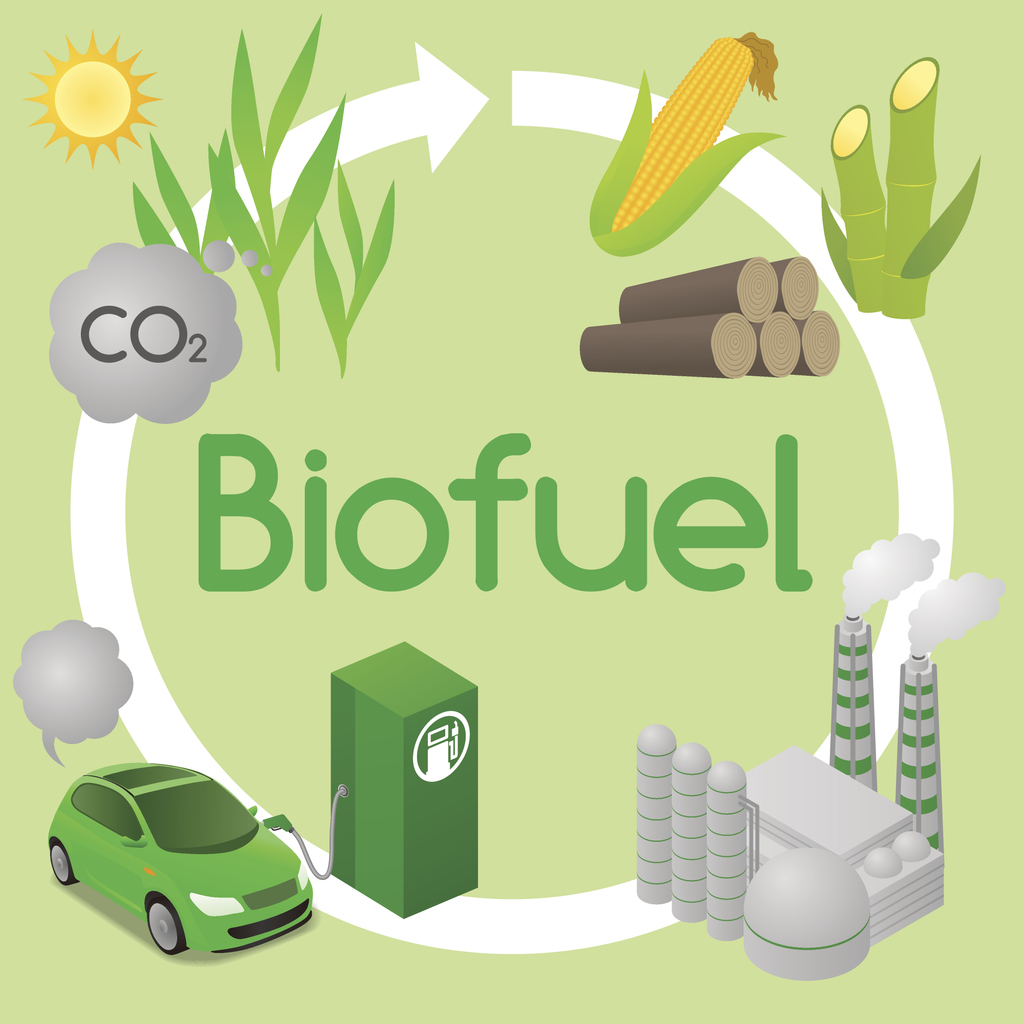 Bioethanol Fuel: A Sustainable Approach for a Cleaner Environment